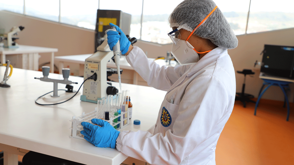 Biologia-ensayo7-santoto-tunja